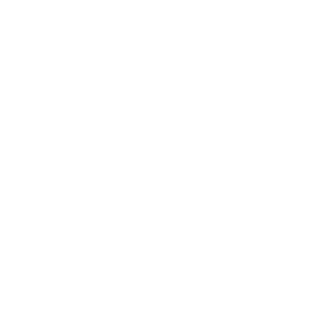 Logo Agenda italiana della disabilità